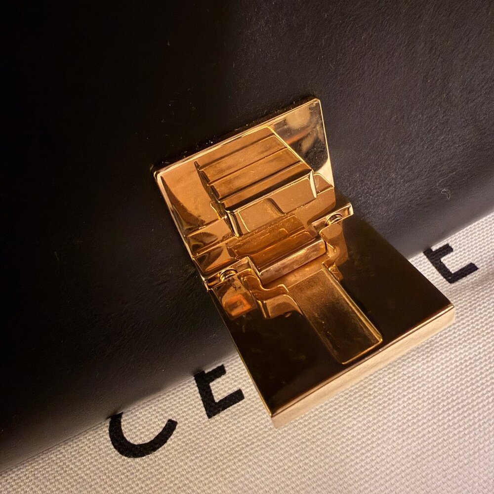 Celine Beige Python Tricolor Leather Medium Trape… - image 9